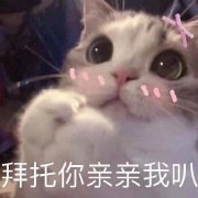 �û�������˱����