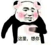 �������������ͼƬ