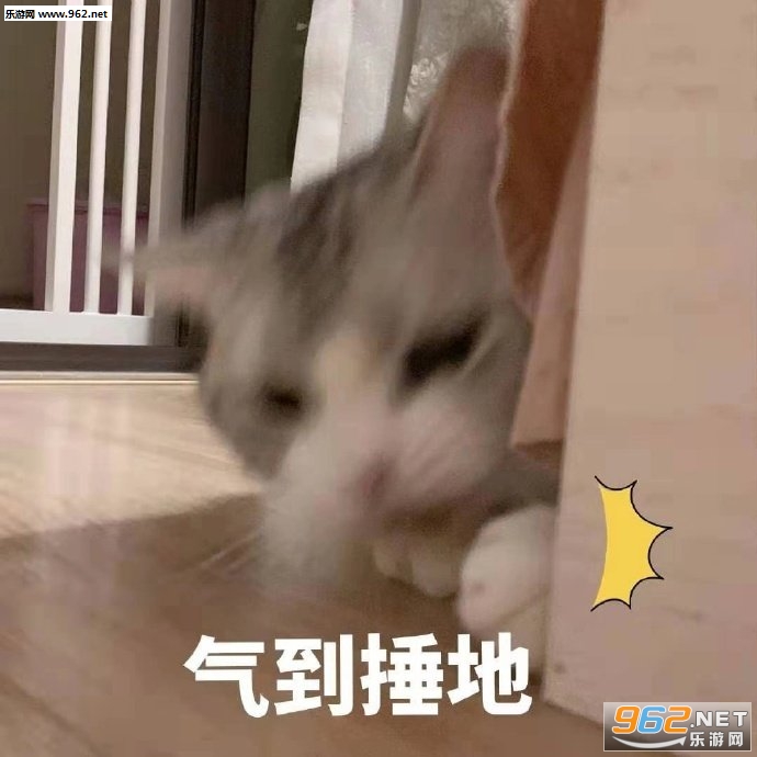 ������Ϸ�����
