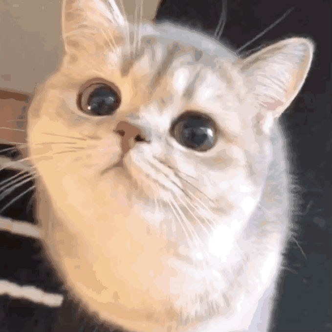 ���һ��Ǳ����