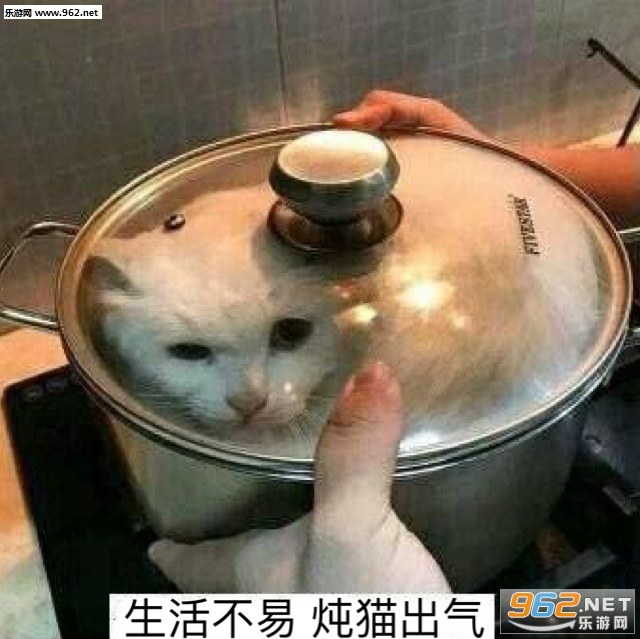 �������è���������