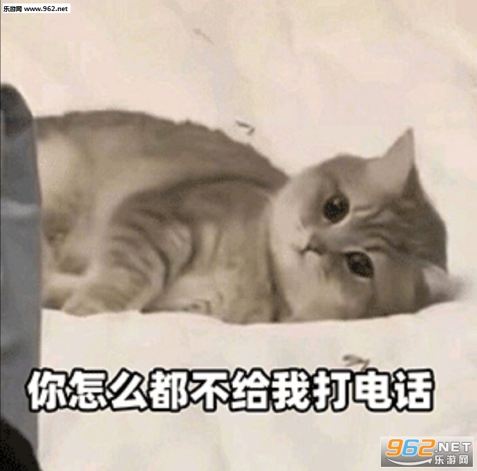 ����ÿ��Ҳ�Ȼ�Ҿ͹�������