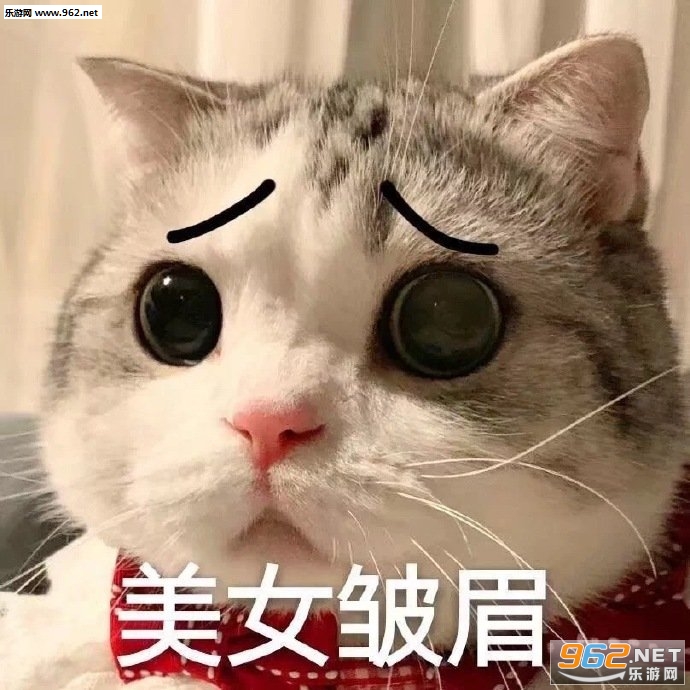 �㻹Ҫ���ӵı����