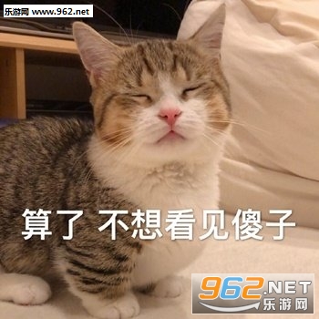 �㻹Ҫ���ӵı����