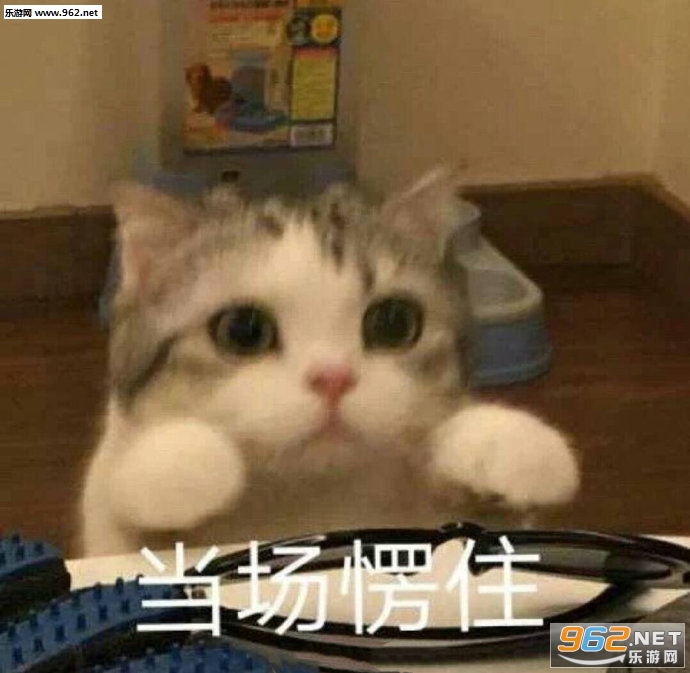 �ٳ��˶��������