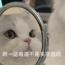 ����Ů�˲�������������