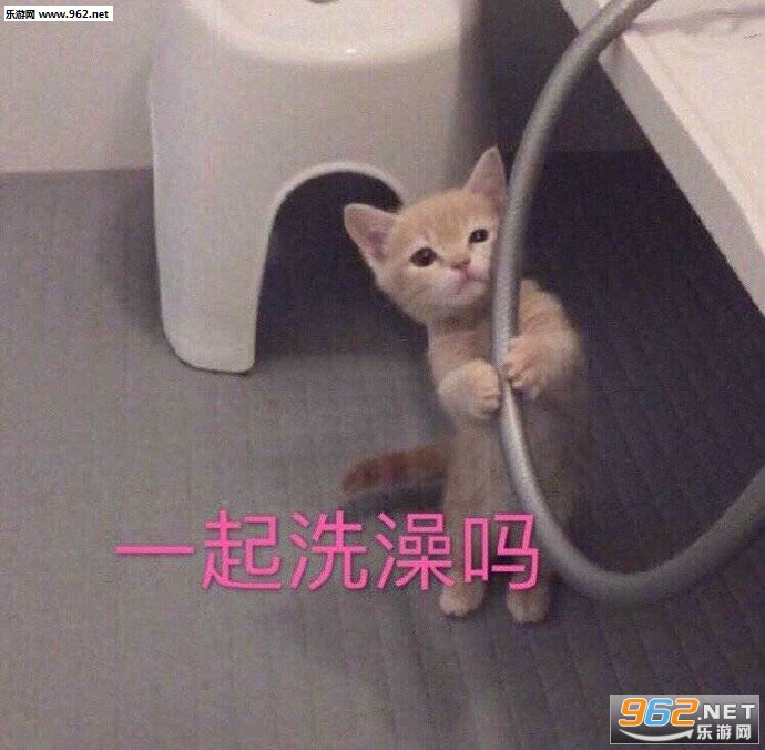 �Ҿ���������ĸ���Ȩ�����