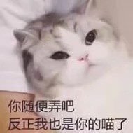 一键变傻表情包 一键变傻表情包