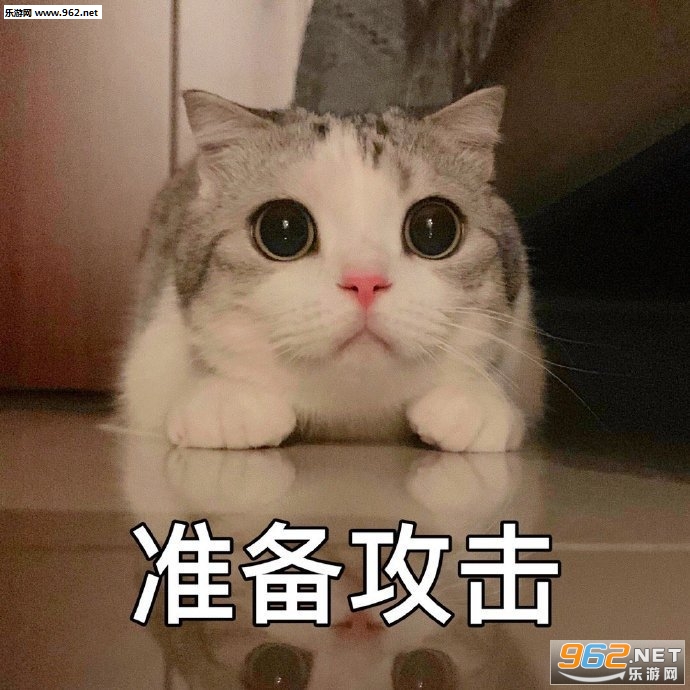 �㿴���Ƕ���䰡�����