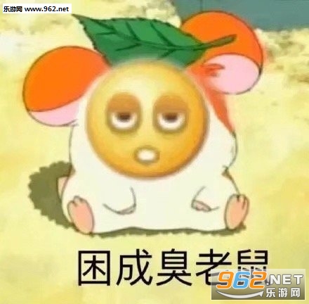�㿴���Ƕ���䰡�����