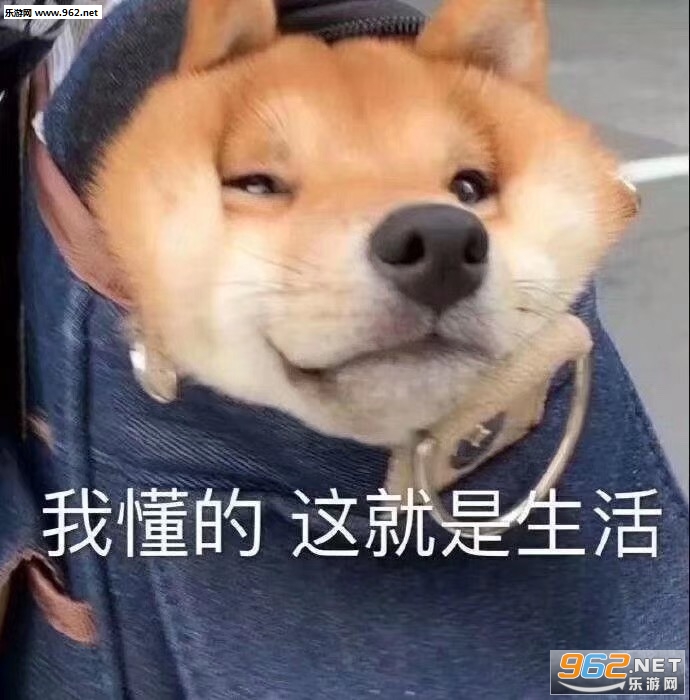 �����µ�һ������ͼƬ