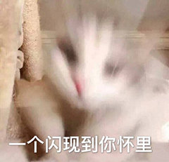 ������Լ��Ǳ����