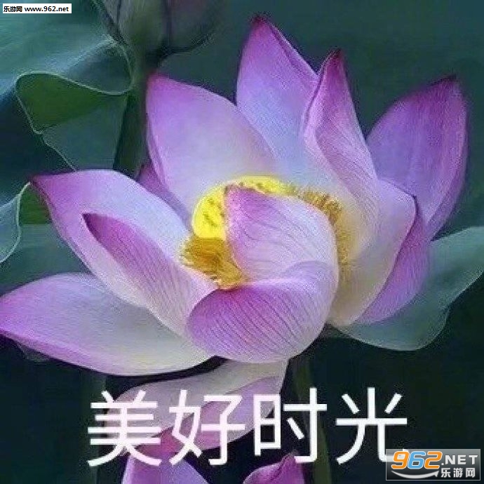 ��������ͼƬ