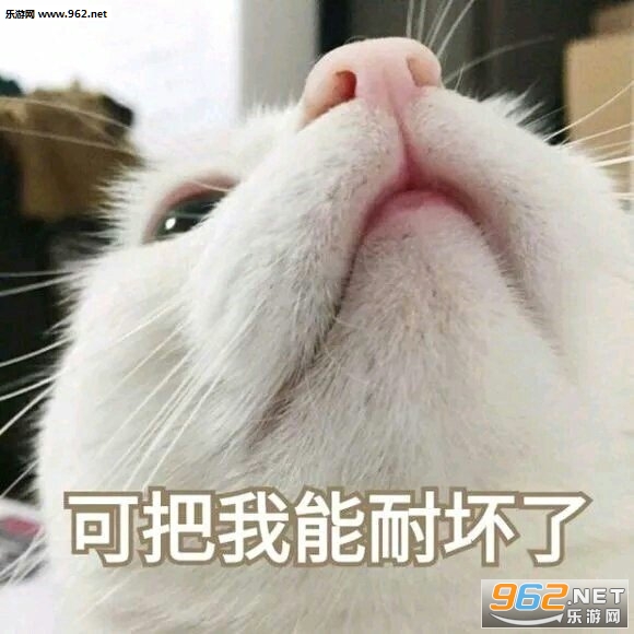 �������Ķ��������