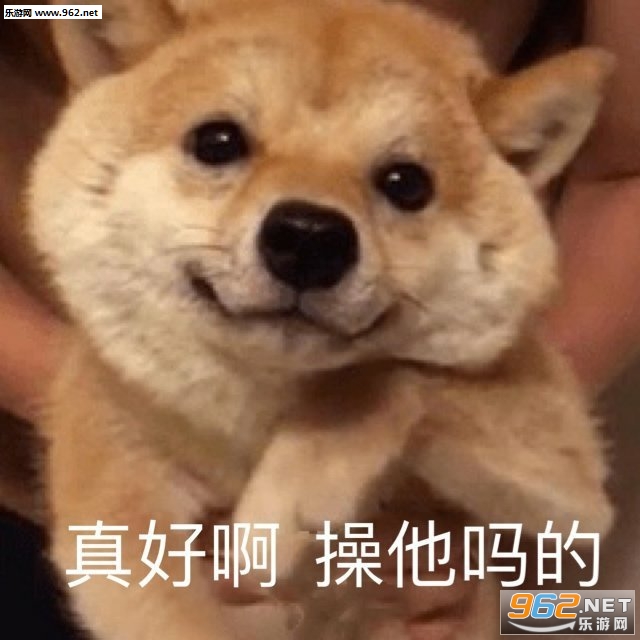 ��ð�������ı����