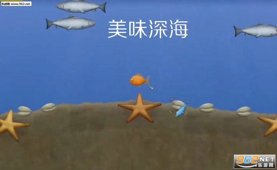 ��ζ����ĺ�����
