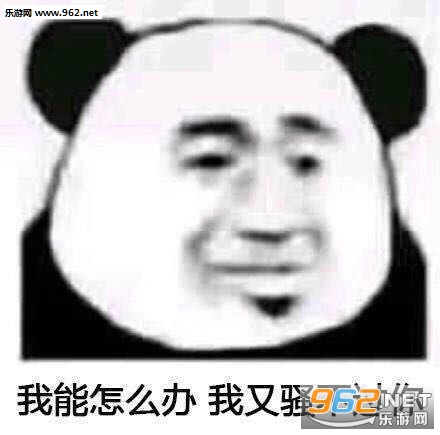 ȫ����˾���ò�̫�б����