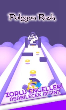 Polygon Rush����