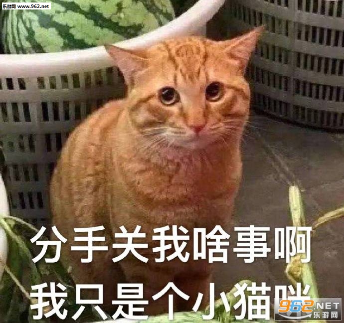 ������д����Ƥ�����