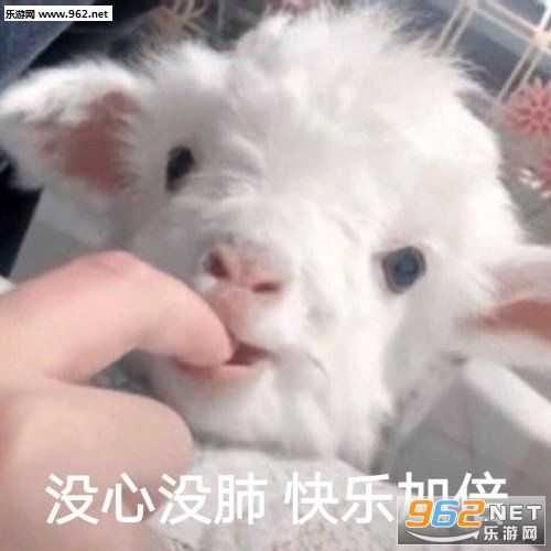 �㳤��һ�ź�ȱǮ���������ͼƬ