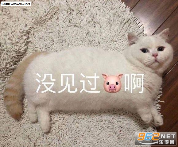 �ϵܴ��������������