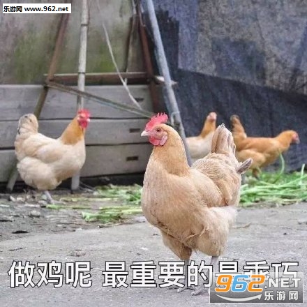 ����������Ҫ���ǹ��ɱ����
