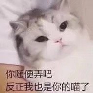 现实中沉默不语网络上重拳出击表情包 现实中沉默不语网络上重拳出击表情包