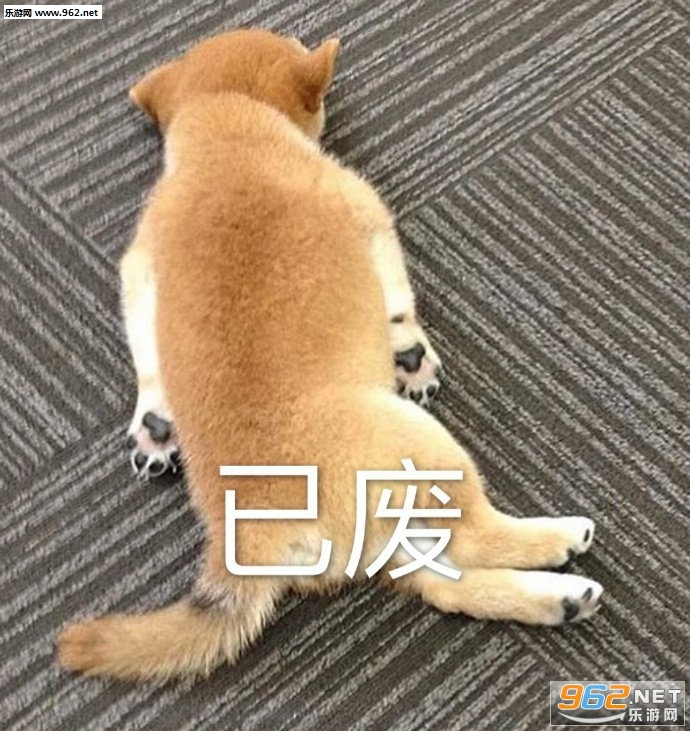 �Ѹ�ŶͼƬ�����