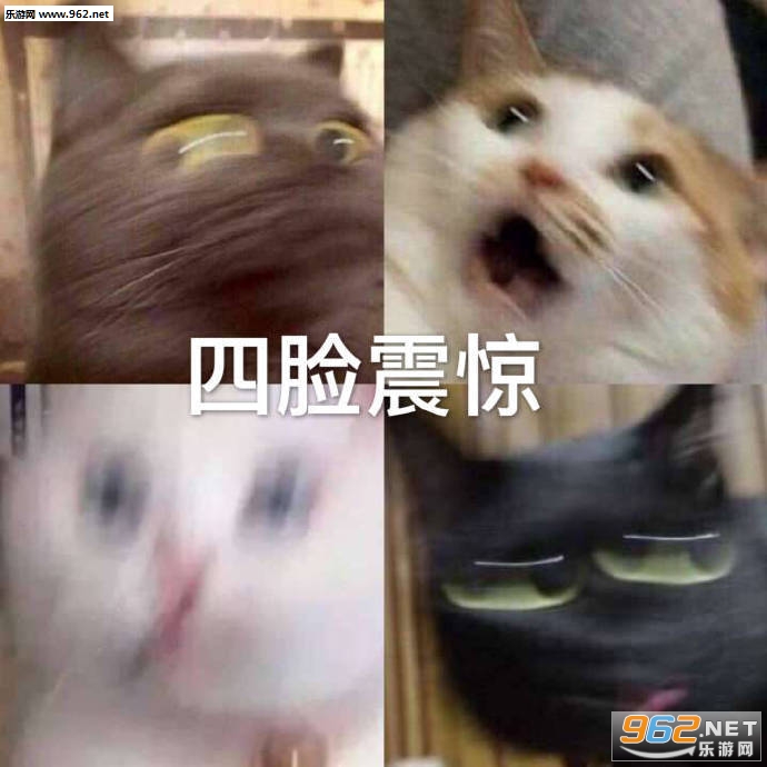 �����𾪱����