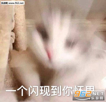 һ�����ֵ��㻳������