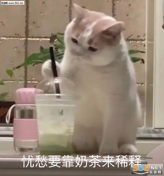 ������ʮ���ҿ��ı����