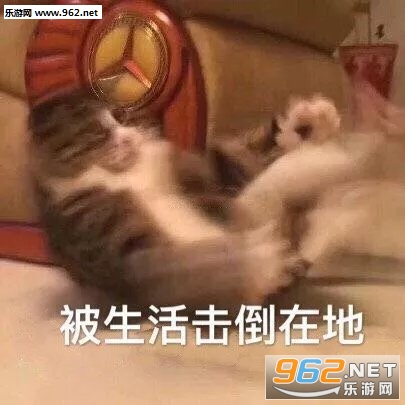 ������ʮ���ҿ��ı����