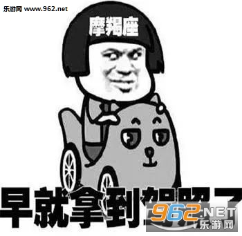 十二星座学车表情包