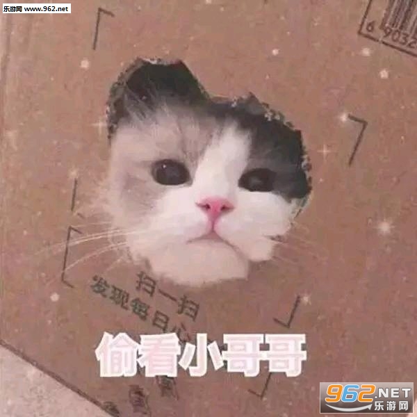 �Ұѻ�������˱����