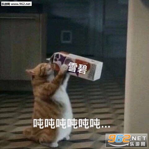 �ֶֶֺȶ��������