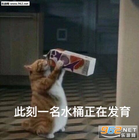 �ֶֶֺȶ��������