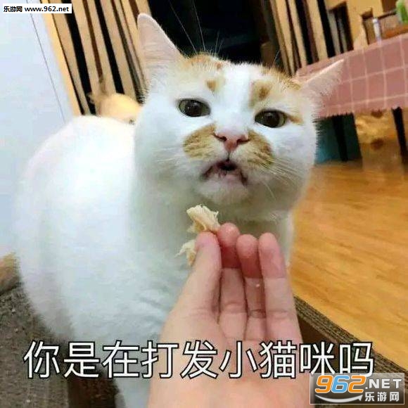 �������ڴ�Сè��������