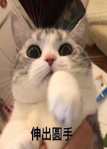 �����㿪����֤�ݱ����