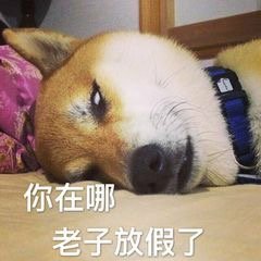 ���������ӷż���ԭͼͼƬ�������ͼ3