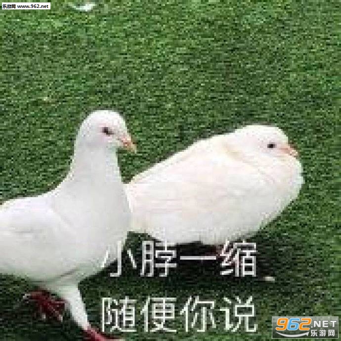 ��֭fightingѼ�������ͼ1