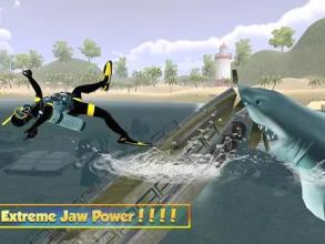 Life of Great White Shark(����������������)v1.0��ͼ0