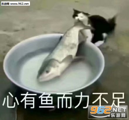 ���շ�����Ů���������ͼ2