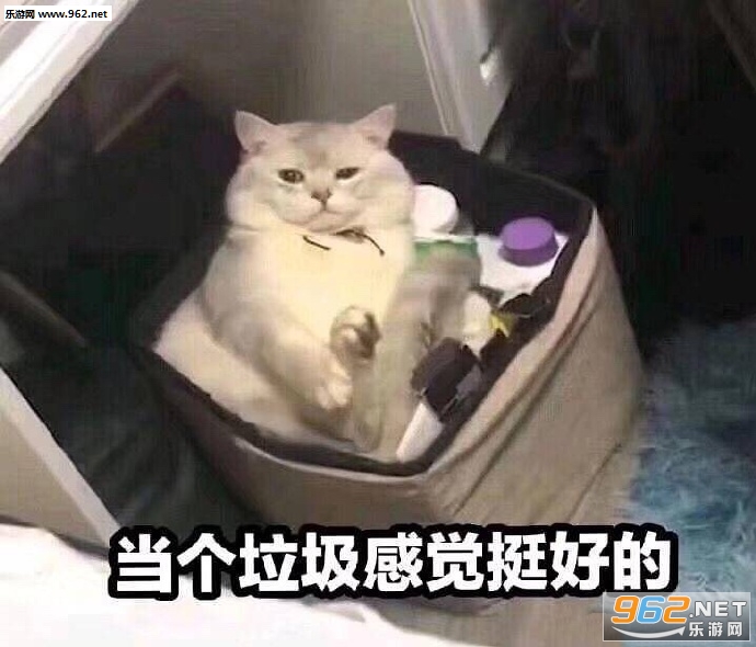 Ц����Ť���������ͼ5