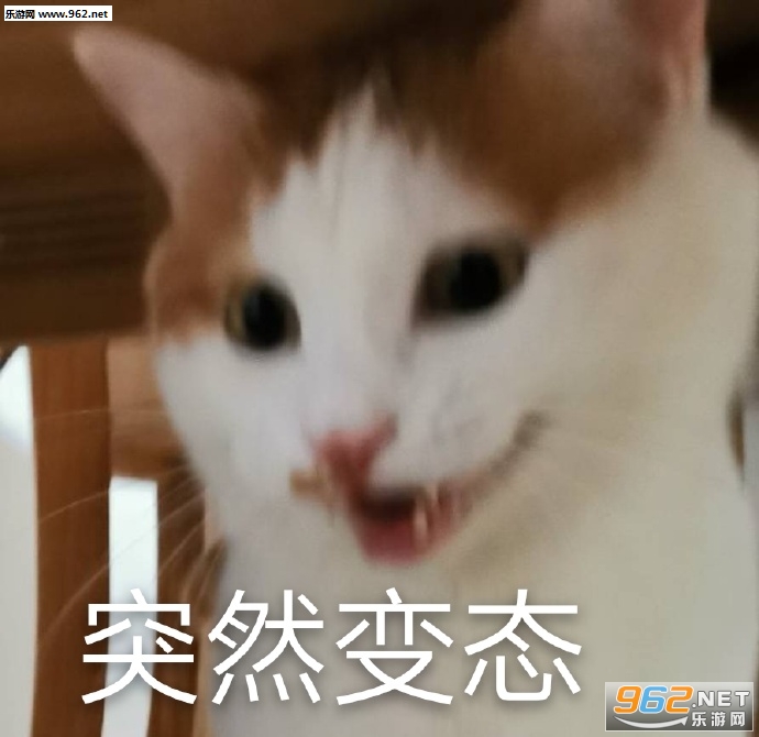 ��ð�������ı������ͼ3