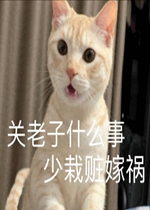 ���������ֱ����