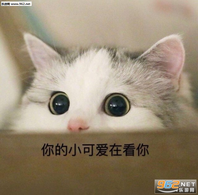 ������д����Ƥ�������ͼ4