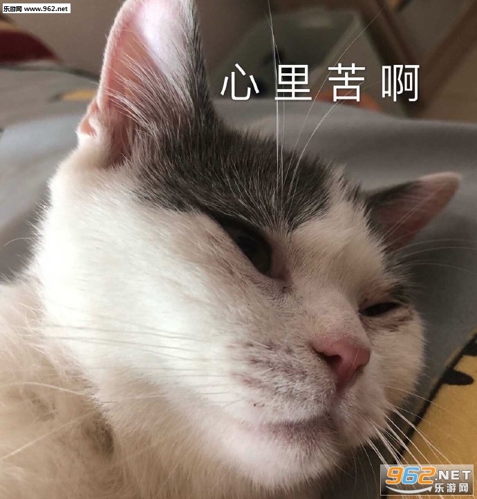 ������д����Ƥ�������ͼ5