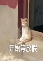 ������Ż����ͱ����ͼƬ