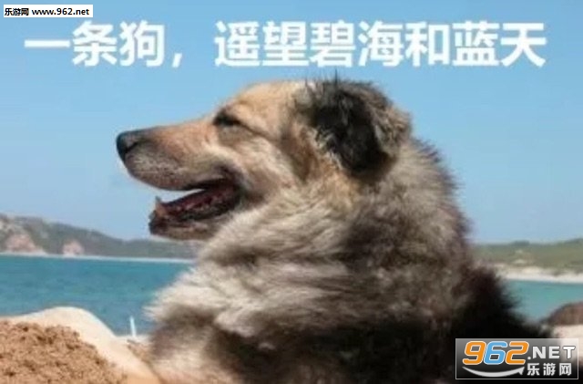 �Ҳ����Ҳ��б������ͼ0