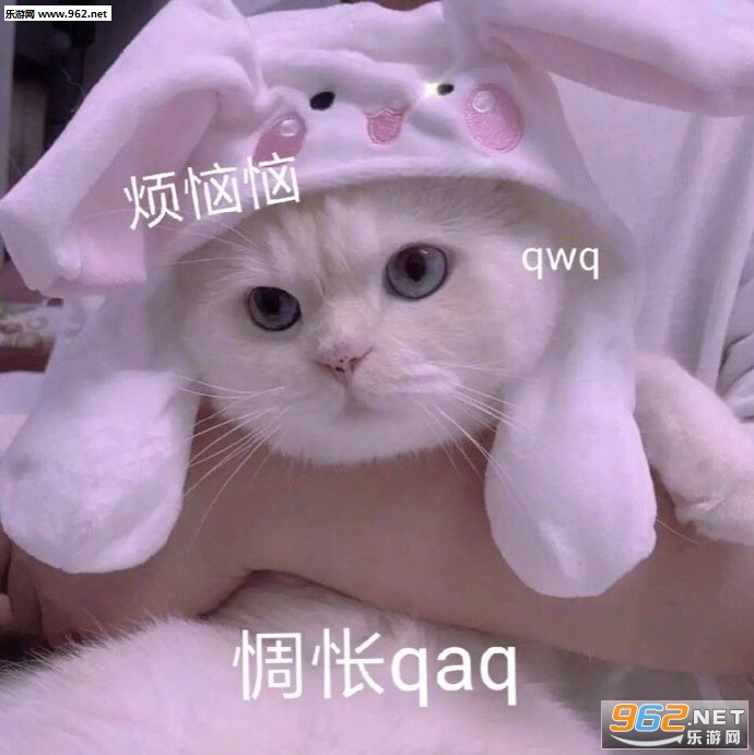 �۰Ͱ͵ȴ���������������ͼ5